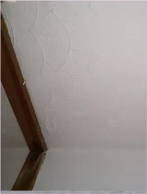 house artex asbestos ceiling inspection artex asbestos ceiling inspection