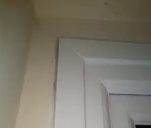 window dampness mould